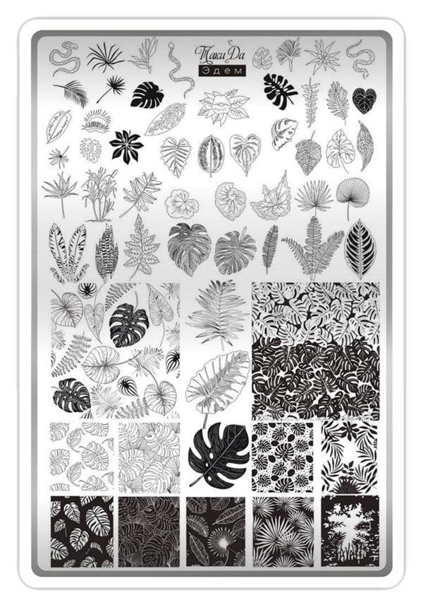 Taki Da Stamping Plate, 04 MATTE Premium + Demo Card