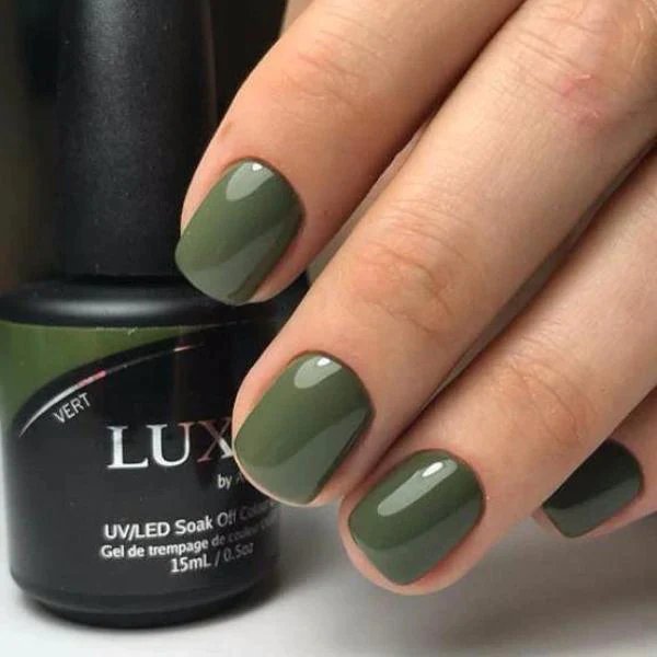 Akzentz Luxio - Vert