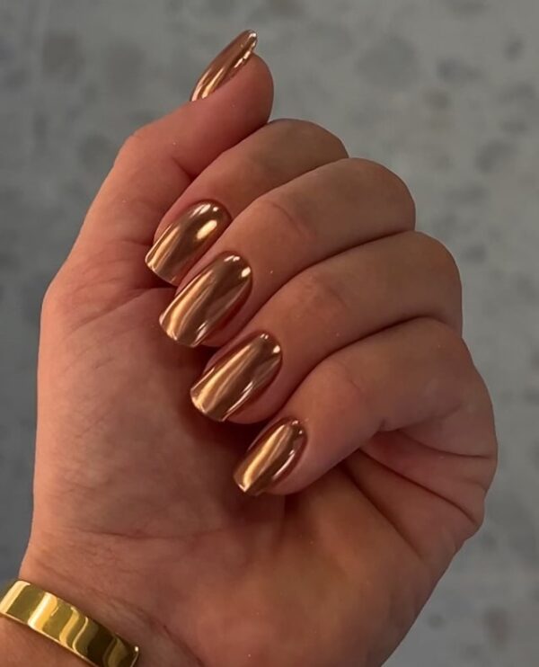 Nail Art House Metallic Chrome Collection Set Limited Edition