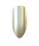 Nail Art House Chrome Powder, White Gold