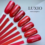 Akzentz Luxio - Prerogative