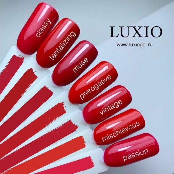 Akzentz Luxio - Prerogative