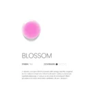 Akzentz Luxio - Blossom