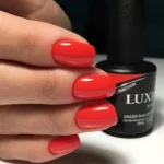 Akzentz Luxio - Distraction