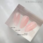 Nail Thoughts NTB-47 Hibiscus Syrup Base
