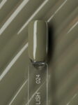 Linto Gel Polish for Nails #024