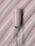 Linto Gel Polish for Nails #661