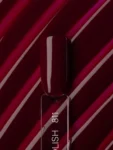 Linto Gel Polish for Nails #811