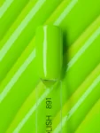 Linto Gel Polish for Nails #891